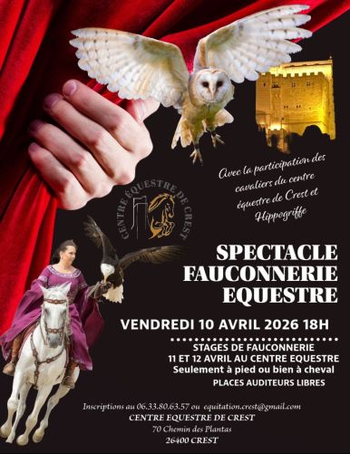 fauconnerie.jpeg