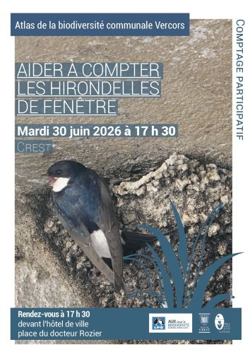 20250711 ABC Crest_comptage_hirondelles_page-0001.jpg