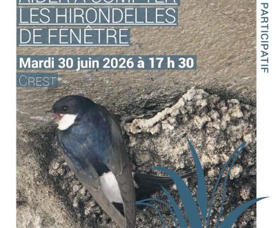 20250711 ABC Crest_comptage_hirondelles_page-0001.jpg