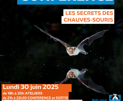 affiche soirée chiro.png