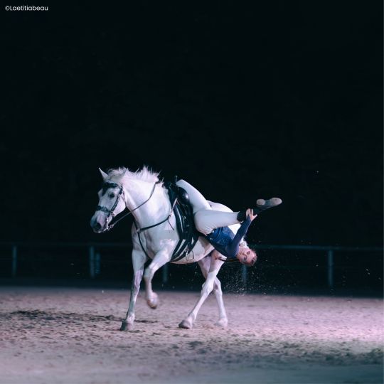 photo fete med site.jpg