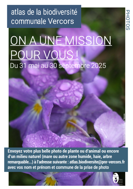 Capture d’écran 2025-07-09 à 09.42.36.png