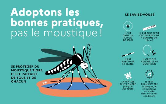 FREDON_AURA_moustique-tigre-Agissons_visuel.jpg